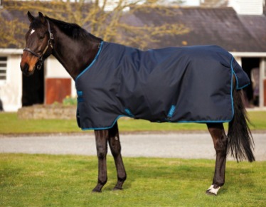 Stable or Turnout Blanket?