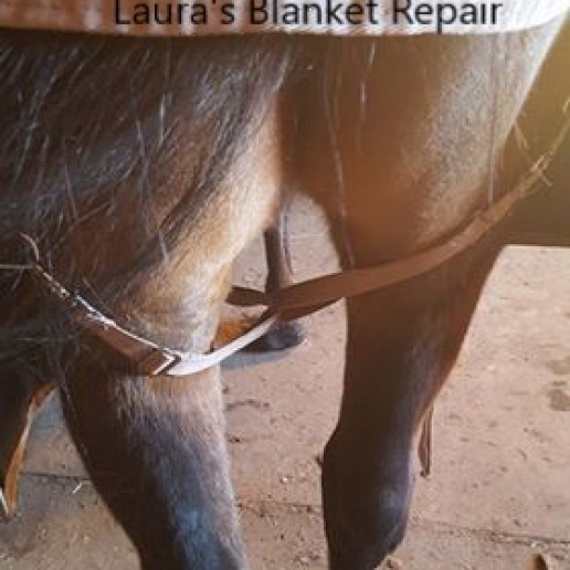 A Strappy Debate! – Laura's Blanket Repair